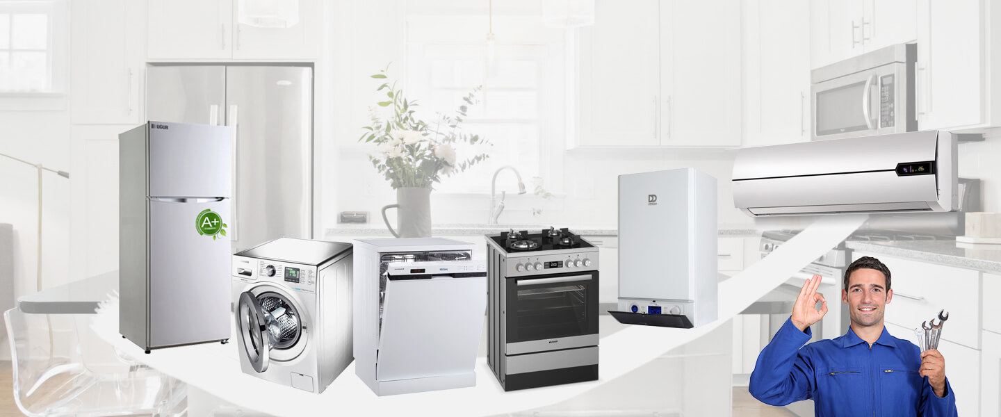 Cide Philips Servisi